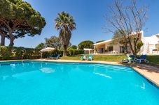 Villa in Albufeira - Villa Bolota